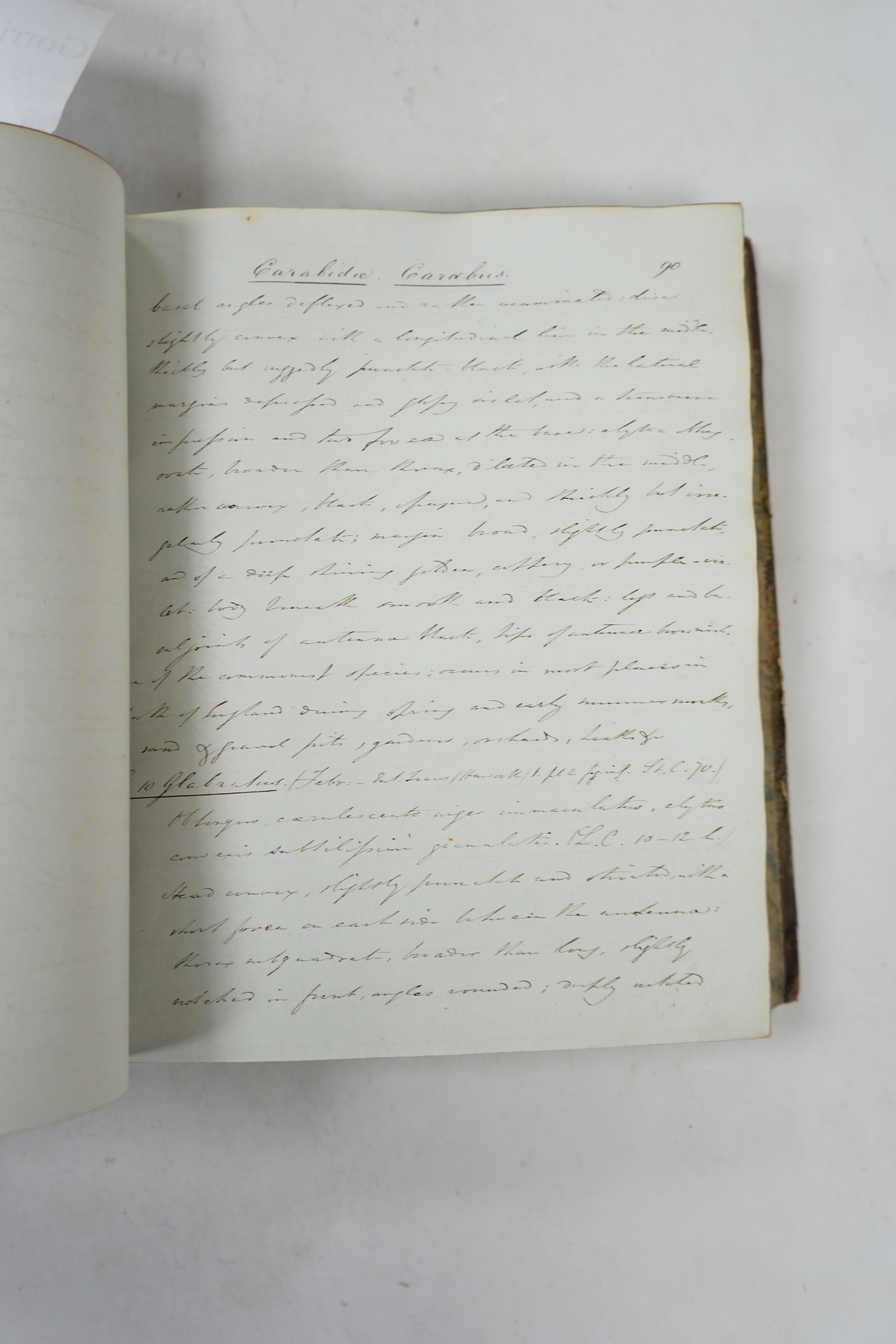 Stephen, James Francis - Illustrations of British Entomology ... A Manuscript Copy, in six volumes, of vols. 1-4 (part 2) of the original work, which was published in 12 vols (1828-1846).